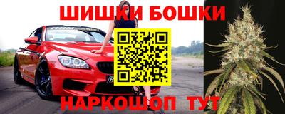 шишки Гай