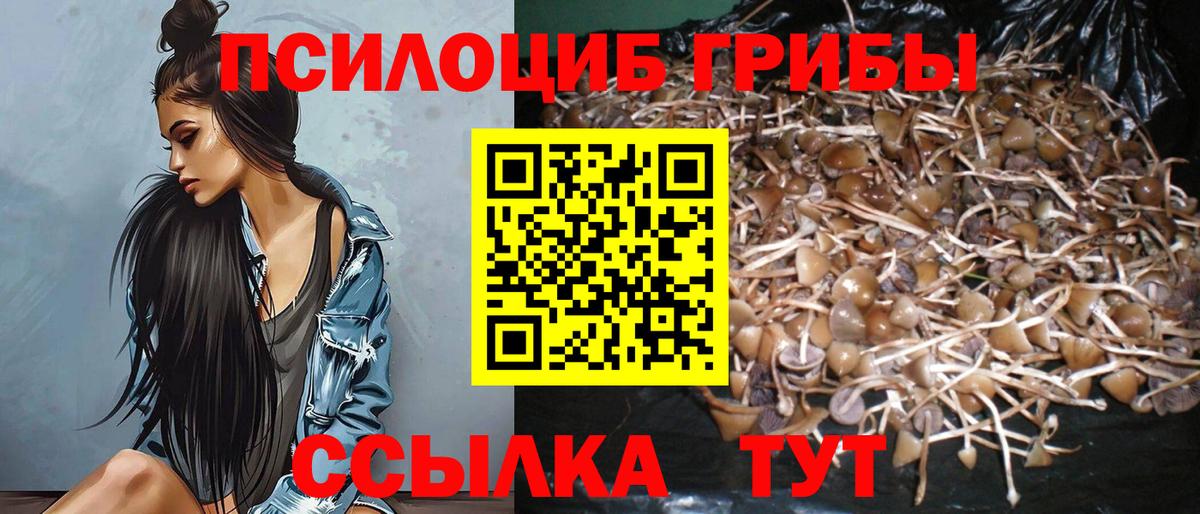 Барнаул  Галлюциногенные грибы Cubensis  Вход с VPN 
