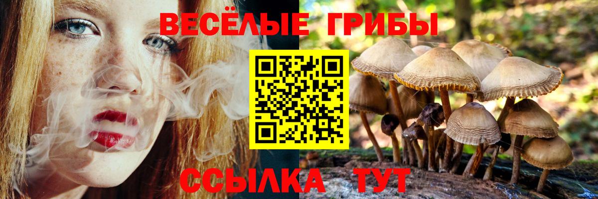 Галлюциногенные грибы мухоморы Барнаул
